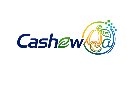 CashEW — From Cashew to Cashflow