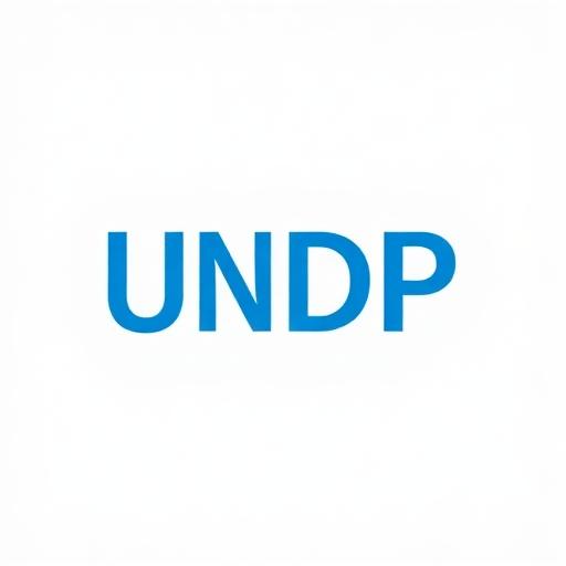 UNDP