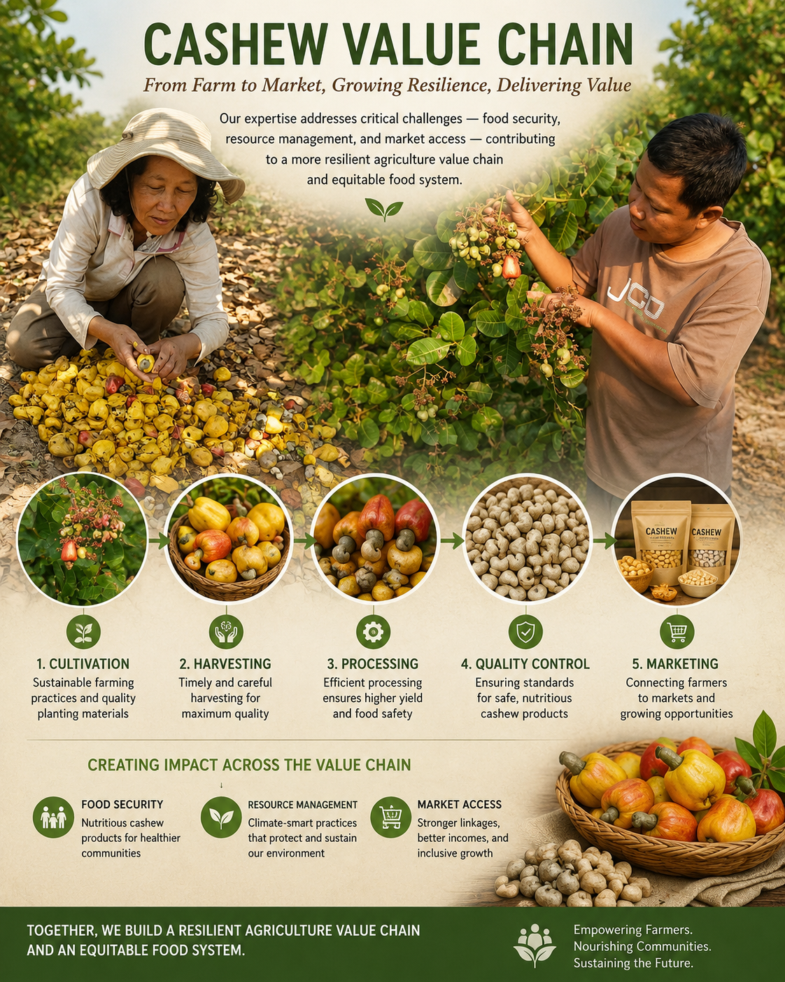 DCx Agriculture Value Chain — cashew cultivation through marketing, with impact metrics: food security, resource management, market access