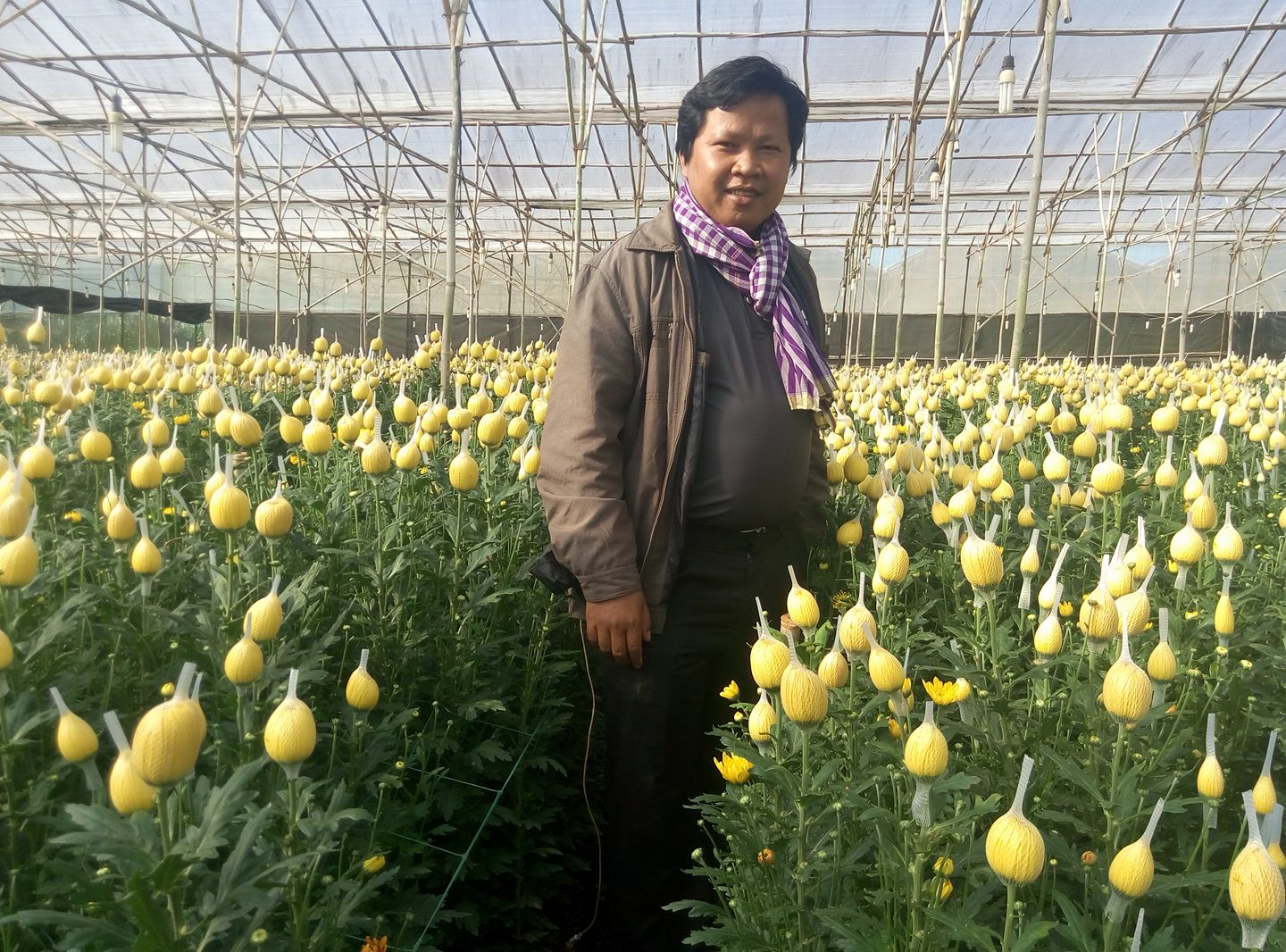 Founder Dane SO inside a protected-cultivation greenhouse with bagged chrysanthemum flowers, demonstrating premium horticulture operations
