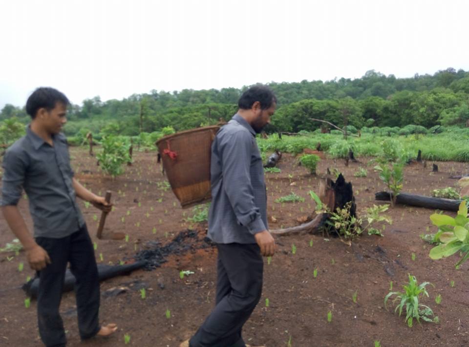 ADIC field team walking an indigenous swidden plot during a baseline assessment — one worker carries a traditional rattan back-basket